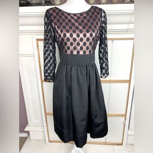Eliza J. Evening Cocktail dress w/ satin lining punk a boo polka dot lace moire